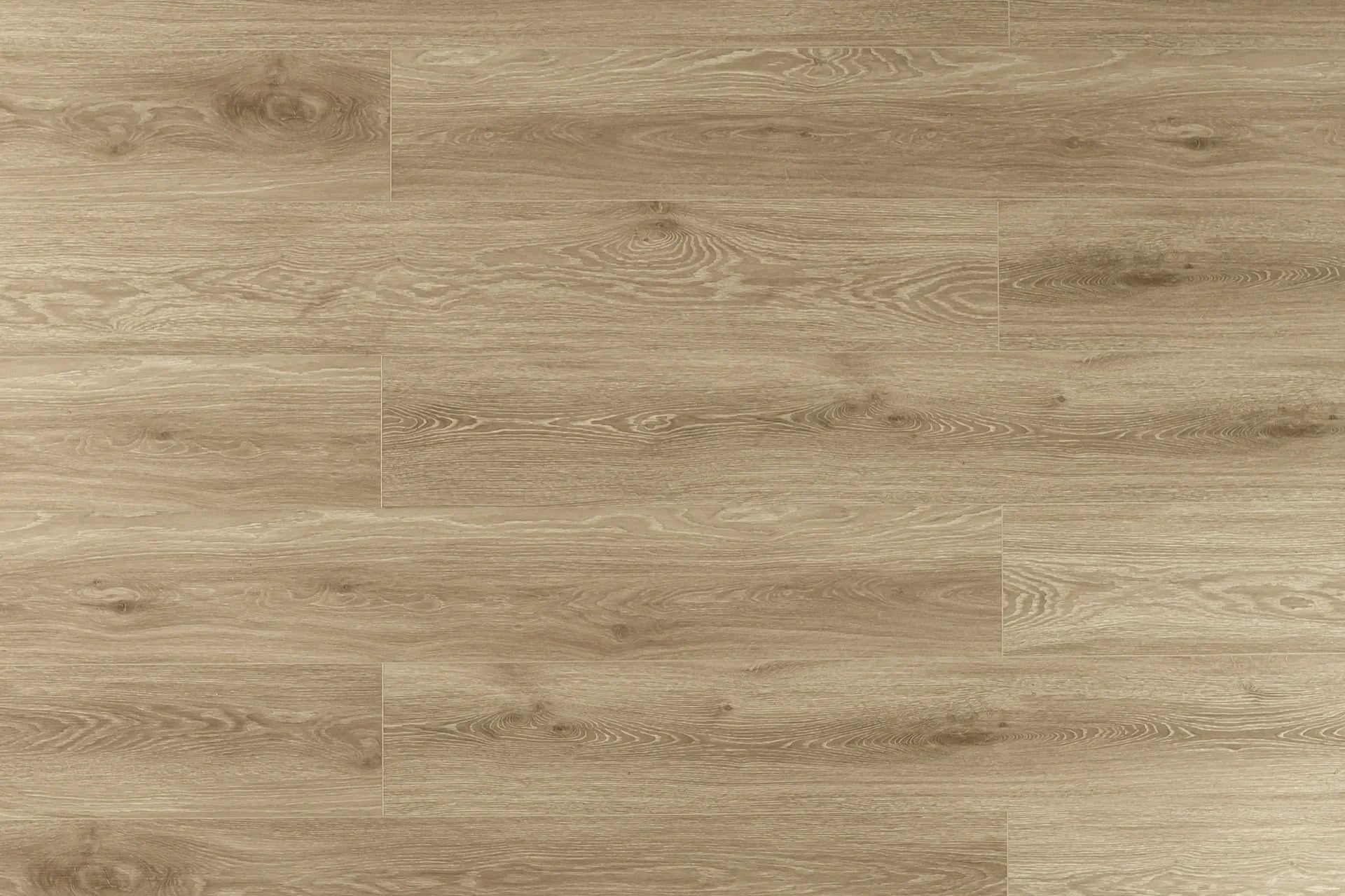 Toucan SPC5 Fawn 9