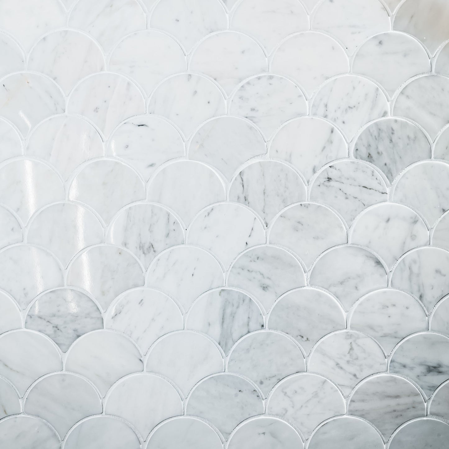 Fishtail Carrara Polished