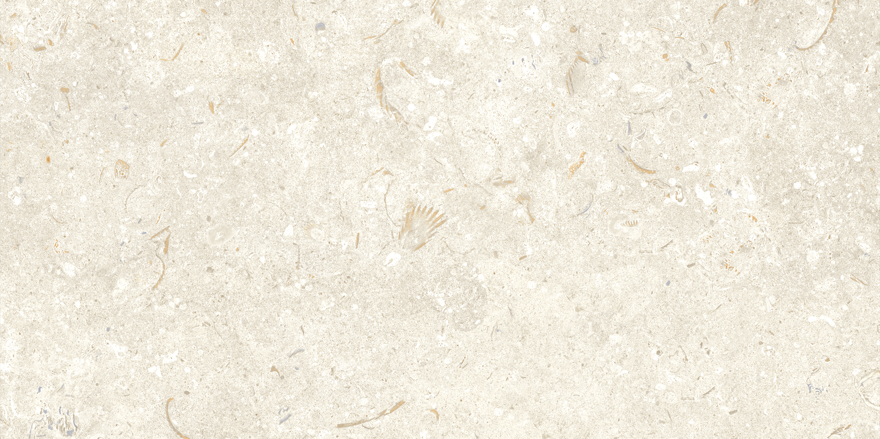 Fosil Bone 12x24 Matte Finish Porcelain Tile
