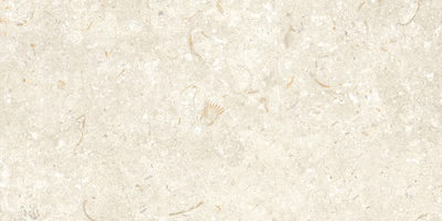 Fosil Bone 12x24 Matte Finish Porcelain Tile