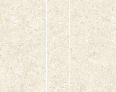 Fosil Bone 12x24 Matte Finish Porcelain Tile