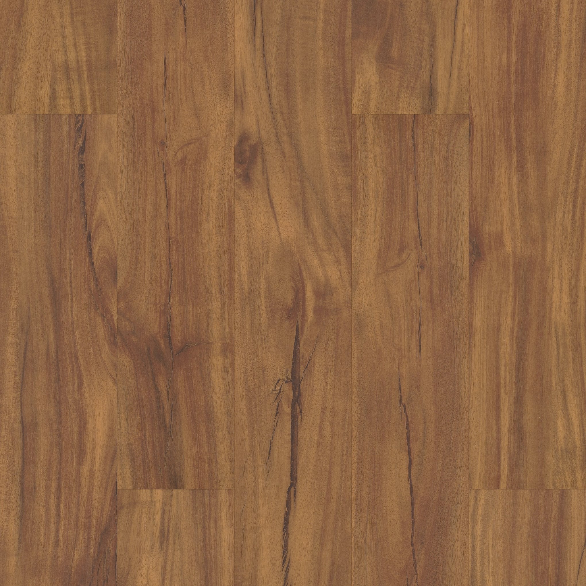Coretec Gold Coast Acacia 5