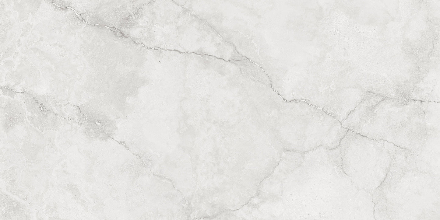 Hermes White 24"x48" Matte Porcelain Tile
