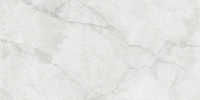 Hermes White 24"x48" Matte Porcelain Tile