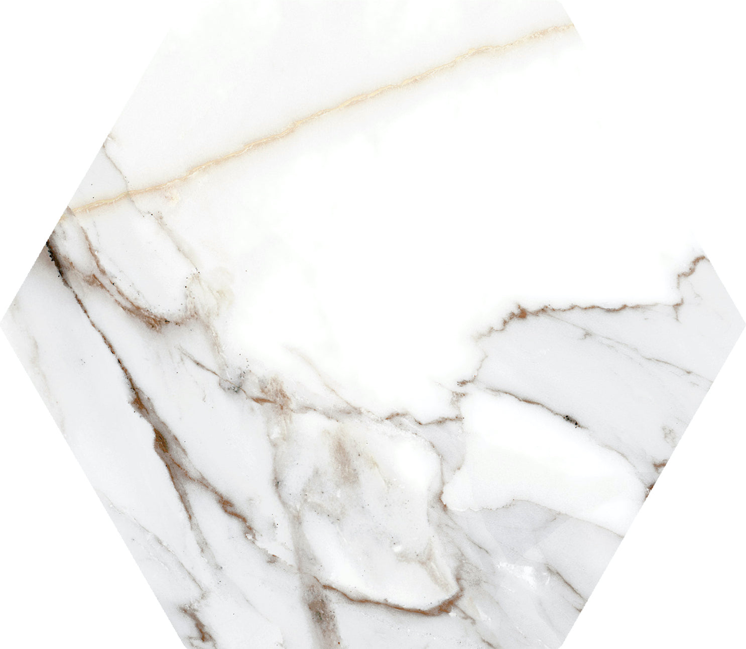 Hex Calacatta Gold 8x9 Matte Finish Porcelain Tile