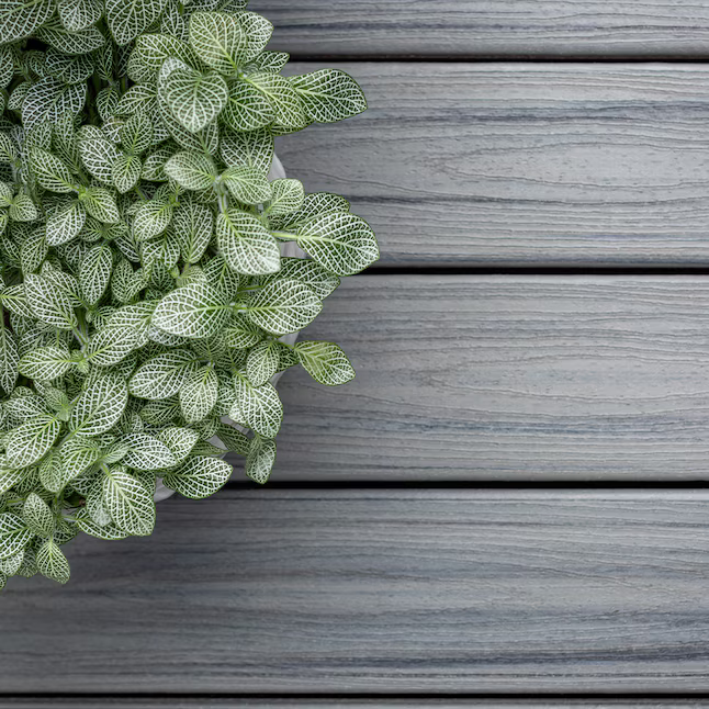 Trex Island Mist 1"x6"x12 ft. Groove Edge Decking Board