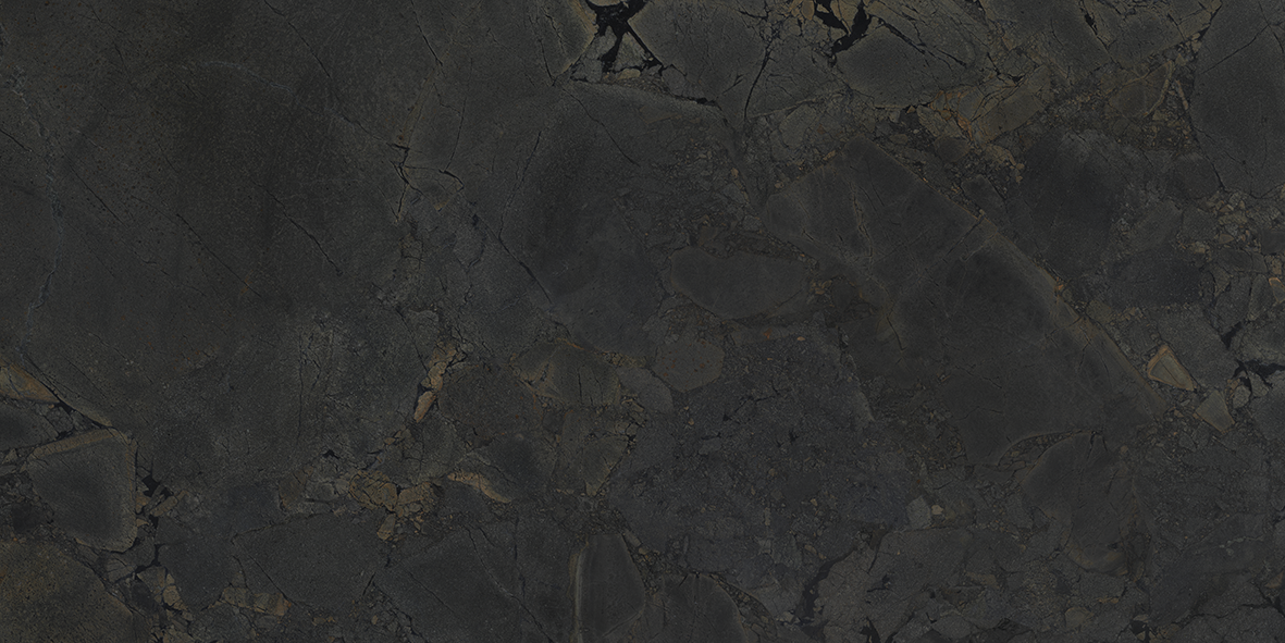 Jurassic Black 24x48 Matte Finish Porcelain Tile