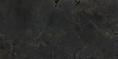Jurassic Black 24x48 Matte Finish Porcelain Tile
