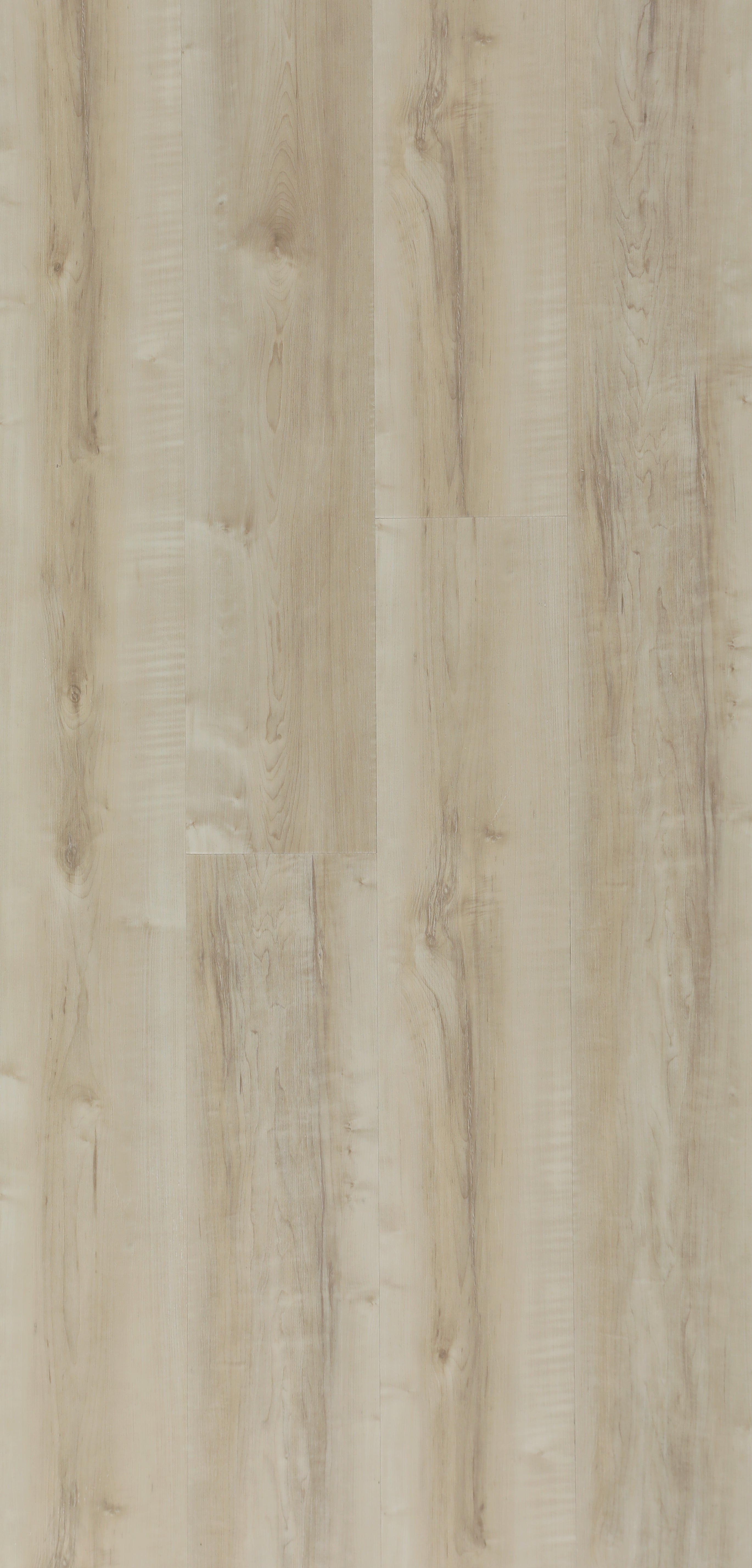 Biyork Hydrogen-6 Lily Canvas 7