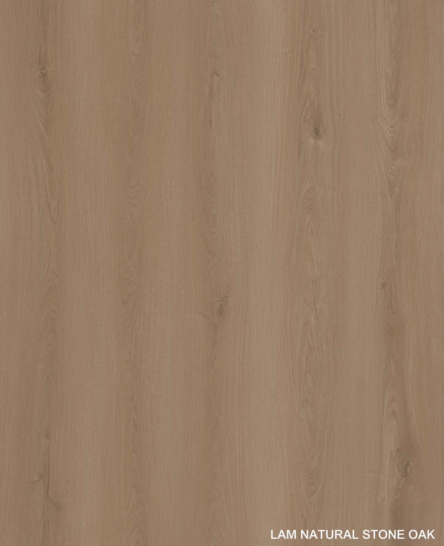 Latipac Natural Stone Oak 8"x48"x12mm HDF Laminate Flooring