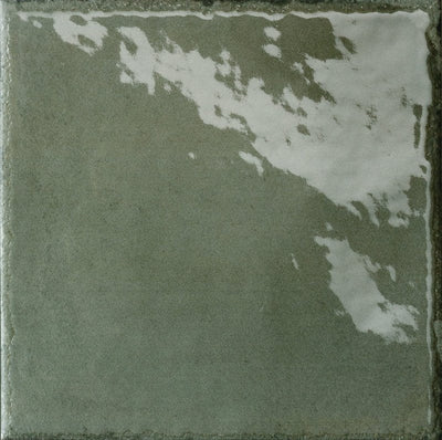 Manufatti Undergrowth 8"x8" Decorative Polished Porcelain Tile