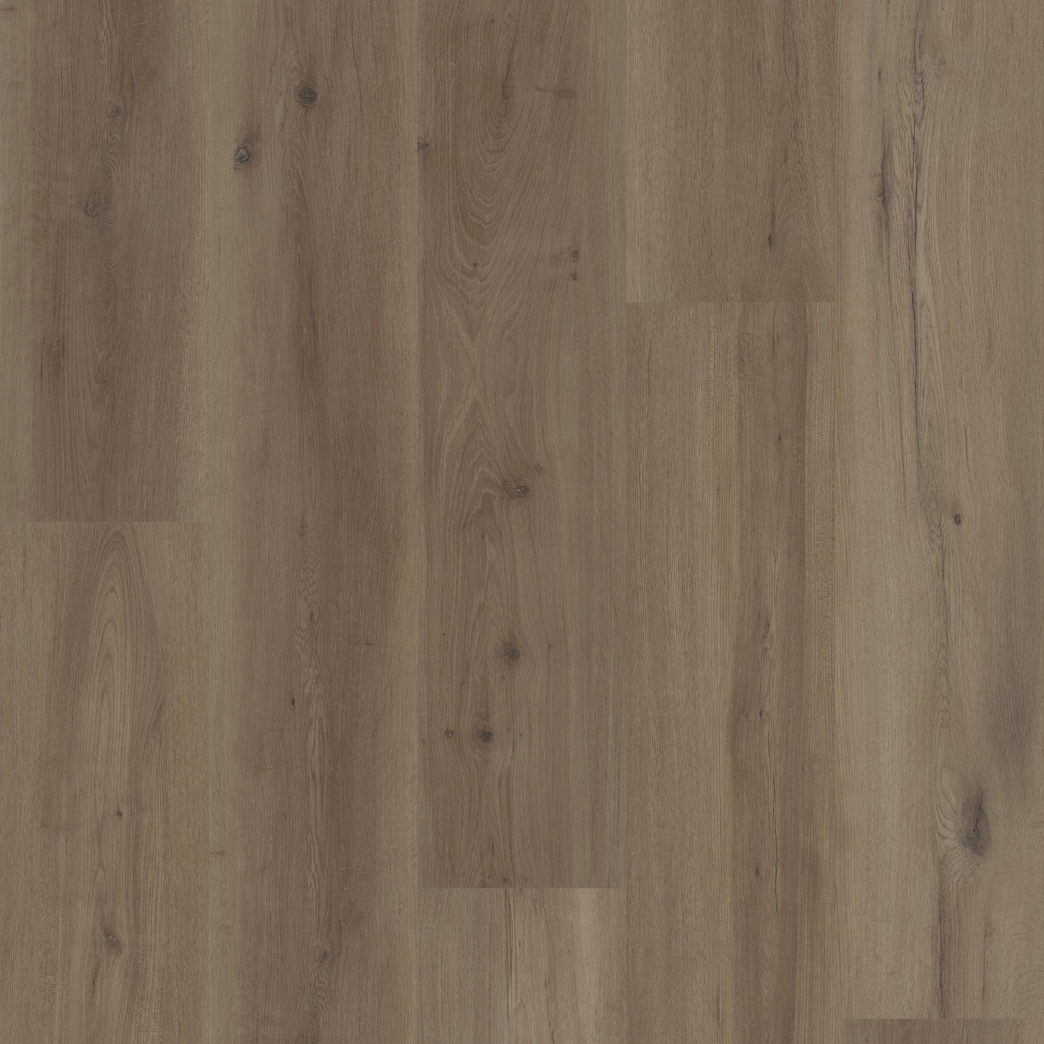 Coretec Premium Mist Oak 9