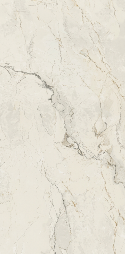 Mist Rain 24"x48" Matte Porcelain Tile