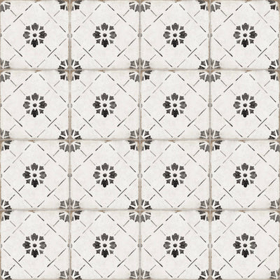 Nocelle 8x8 Matte Finish Porcelain Patterned Tile