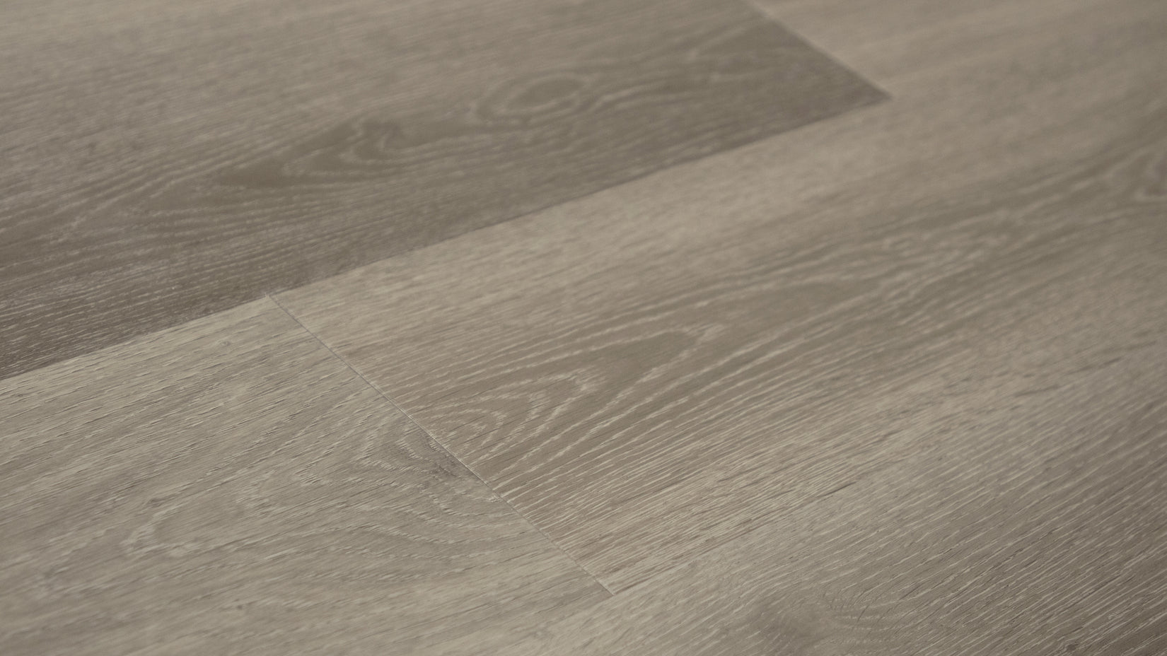 Grandeur North Head 7