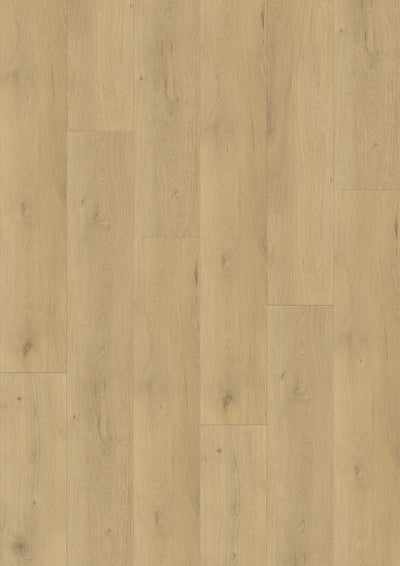 Harbinger Craftsman Paris 9"x60" Luxury Vinyl Flooring