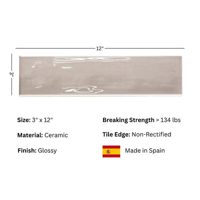  3x12 Polished Finish Subway Tile