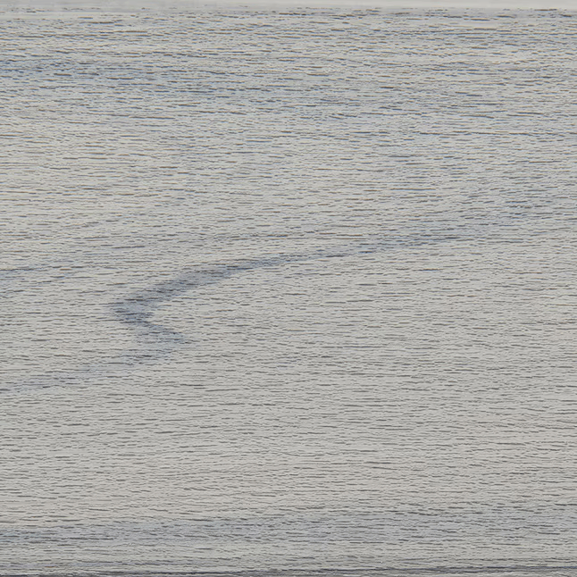 Trex Lineage Rainier 1"x6"x20 ft. Groove Edge Decking Board