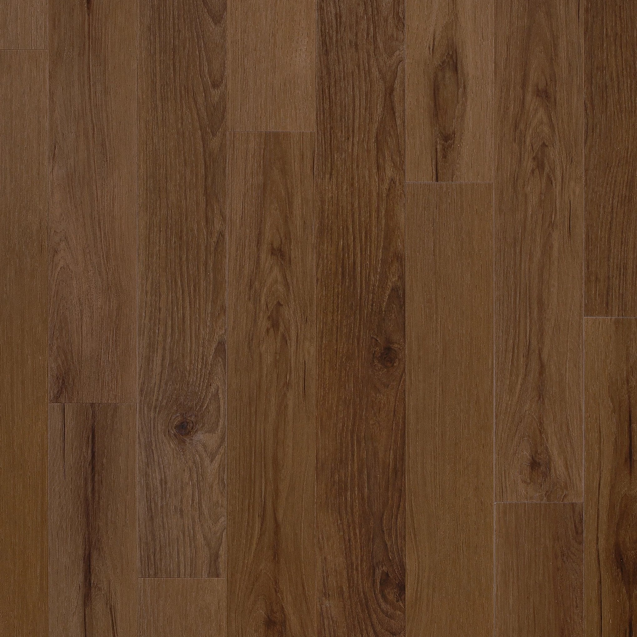 Coretec Rogers Hickory 5