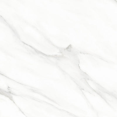 Royal Calacatta 24x24 Matte Marble Look Porcelain Tile