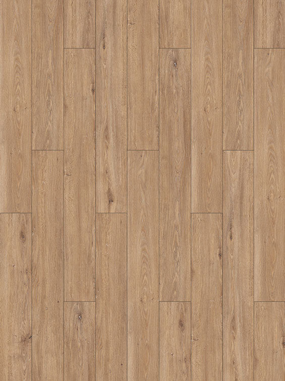 Harbinger Savannah Oak 6