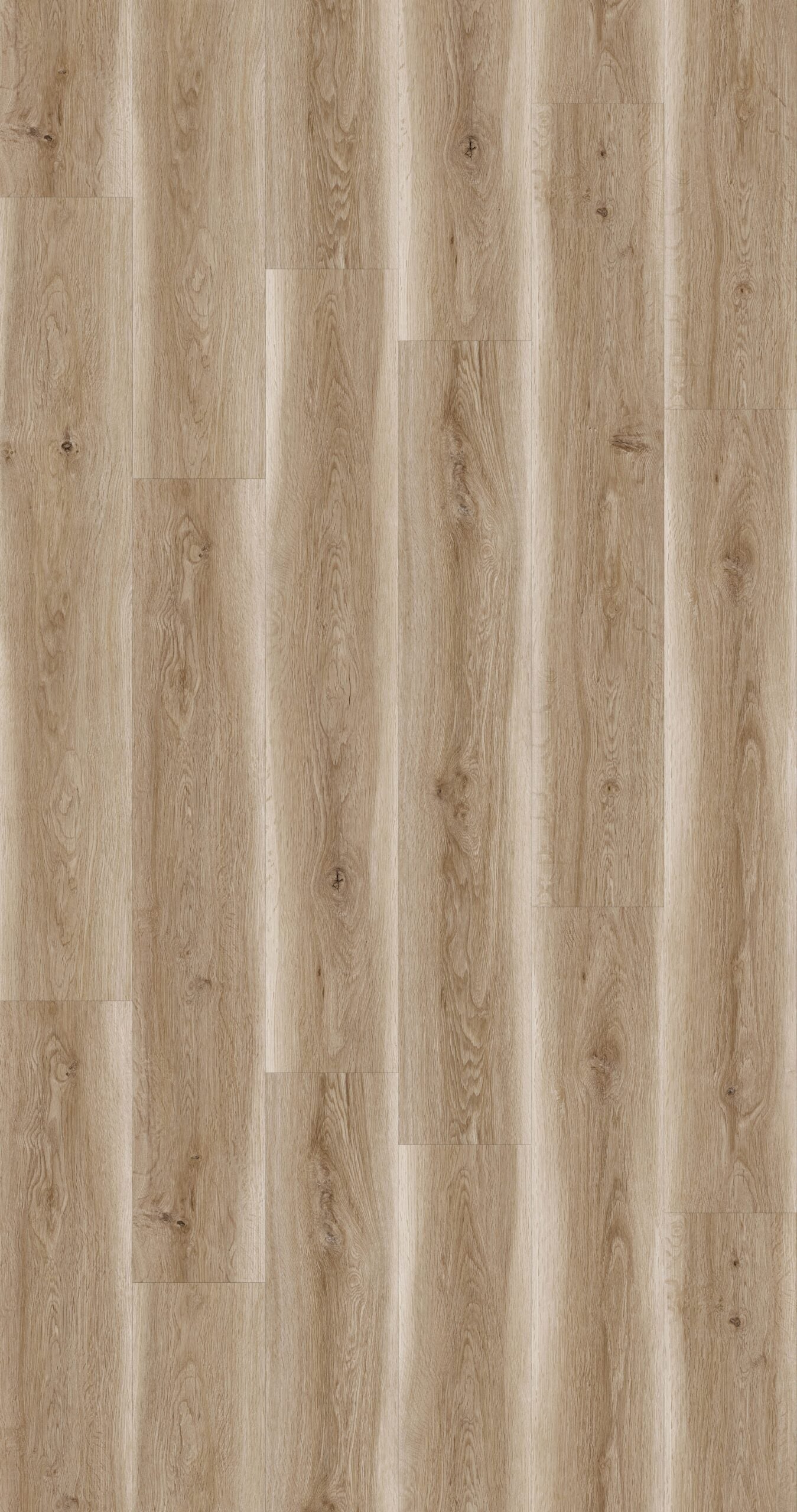 HTBC Eco Floor Sweeny 7