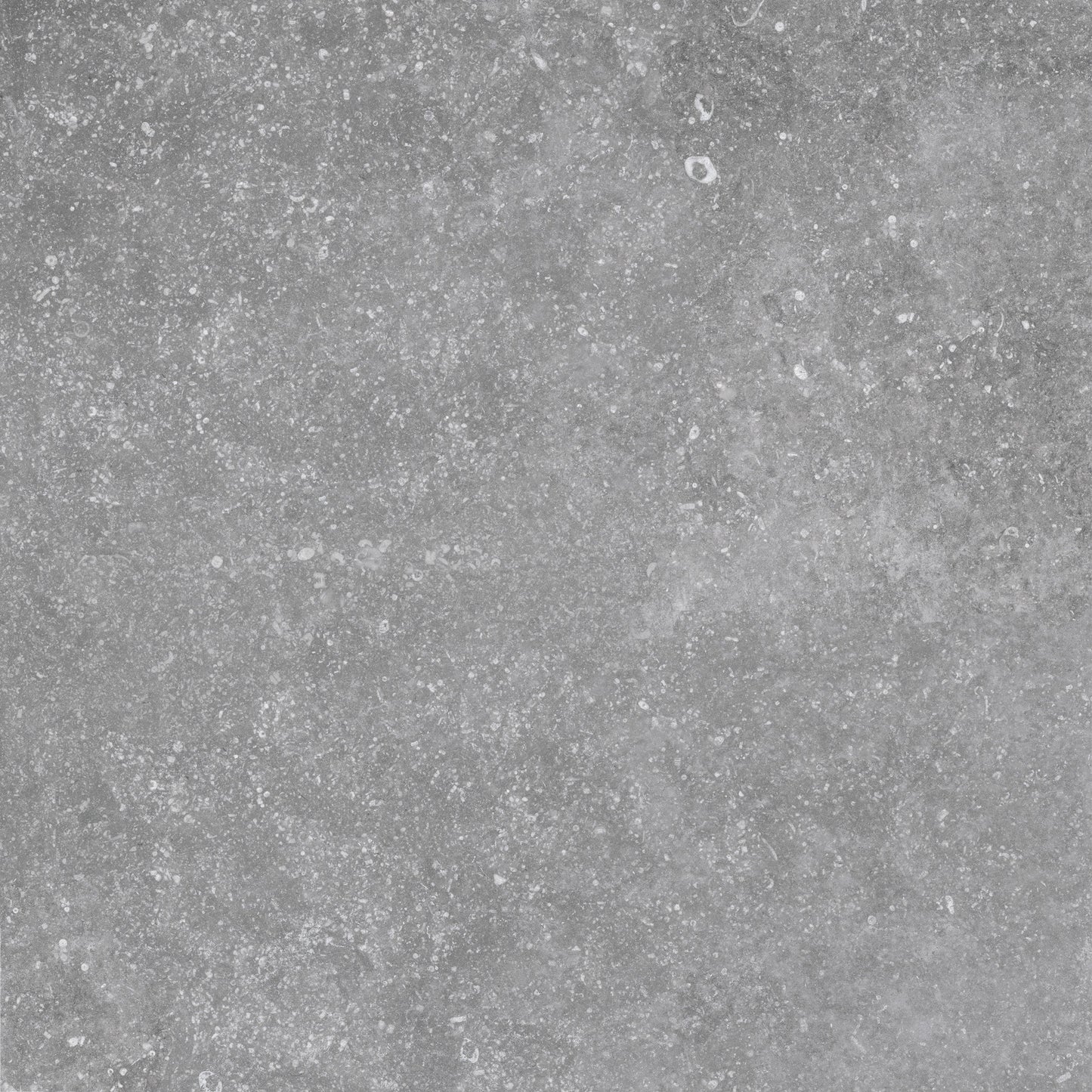  trendy Light Grey Porcelain Tile 