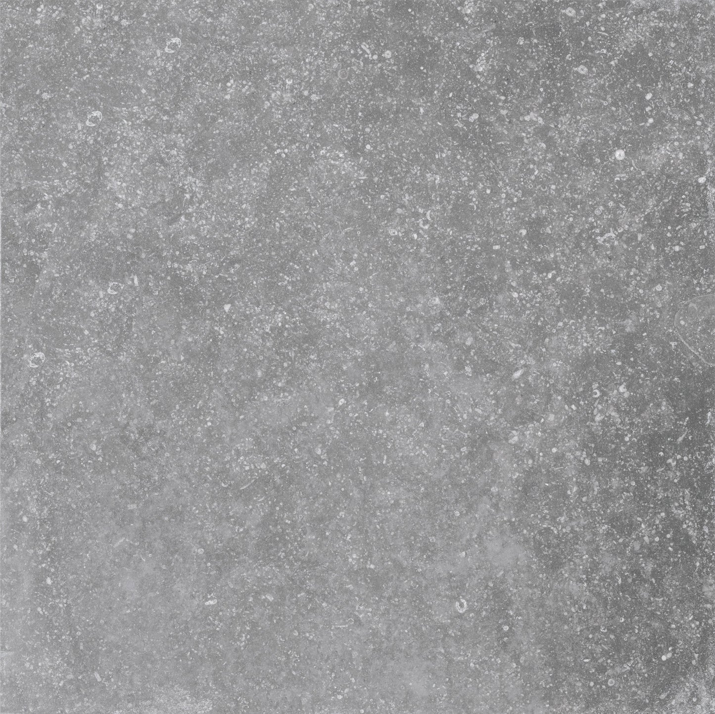  Light Grey Tile 