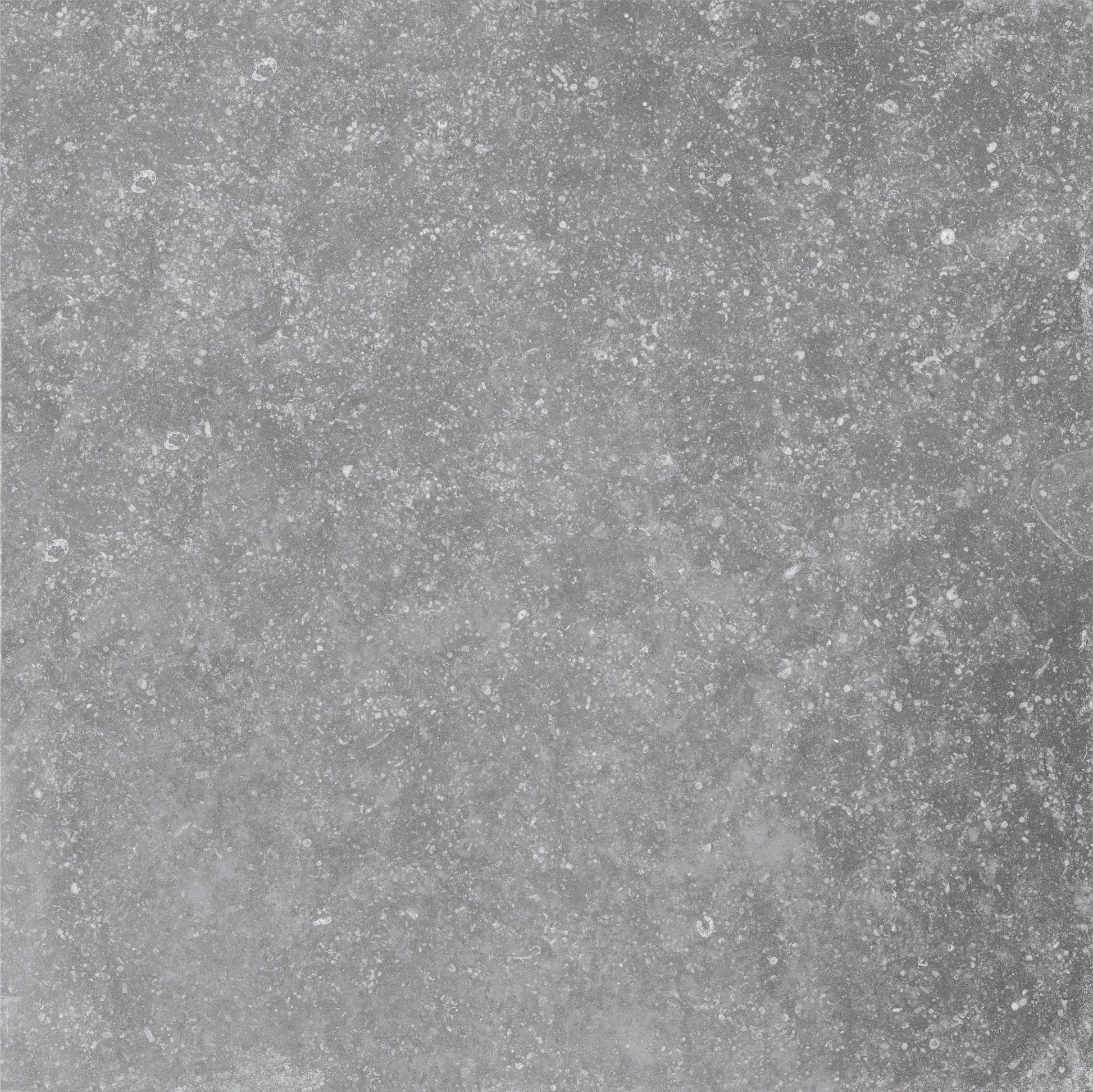  Light Grey Tile 