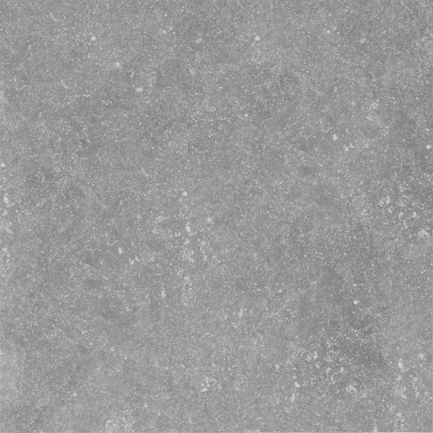 Trend Light Grey 24"x24" Porcelain Pavers – 2cm Matte Outdoor Deck Tiles