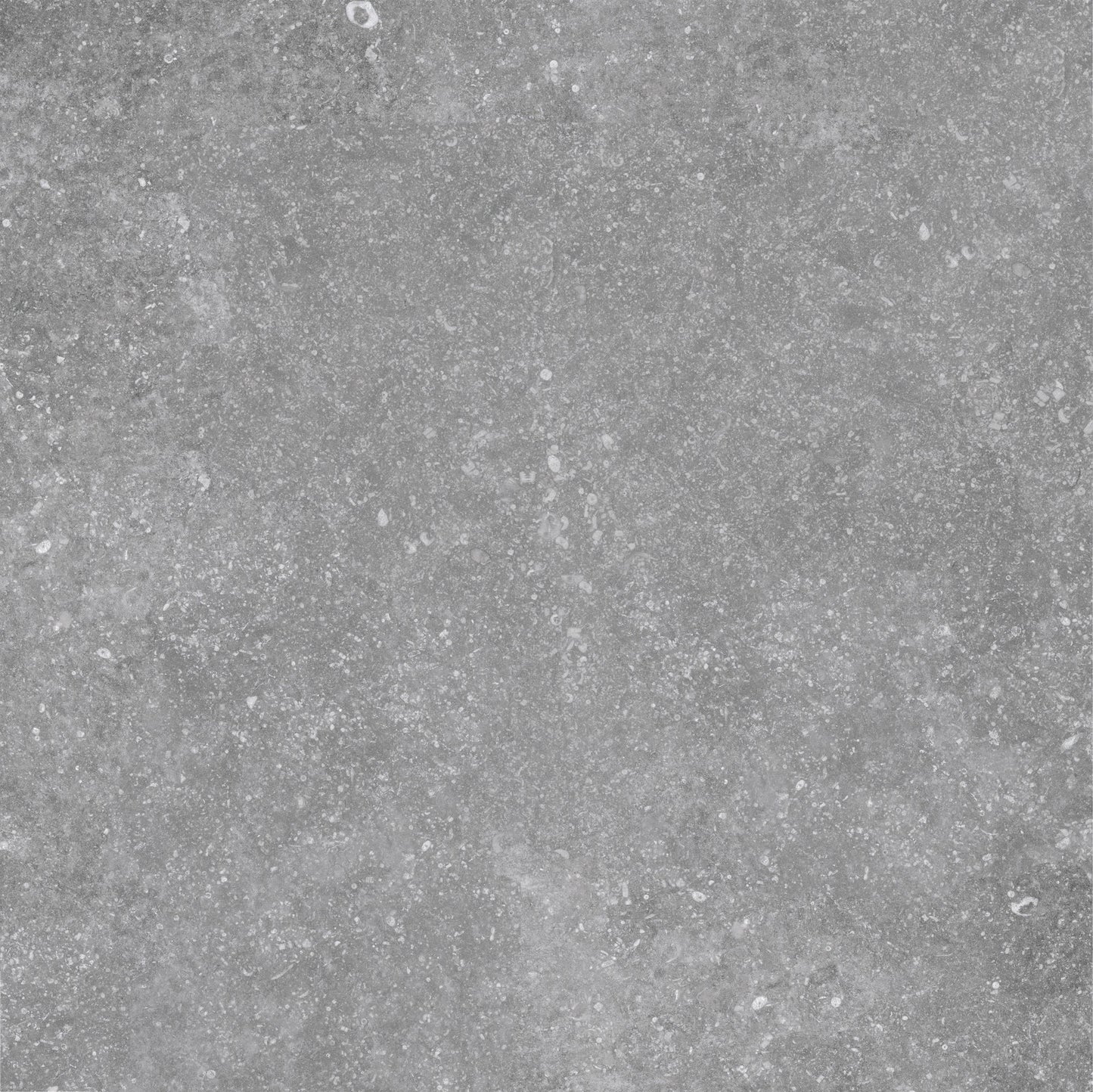 Trend Light Grey 24"x24" Porcelain Pavers – 2cm Matte Outdoor Deck Tiles
