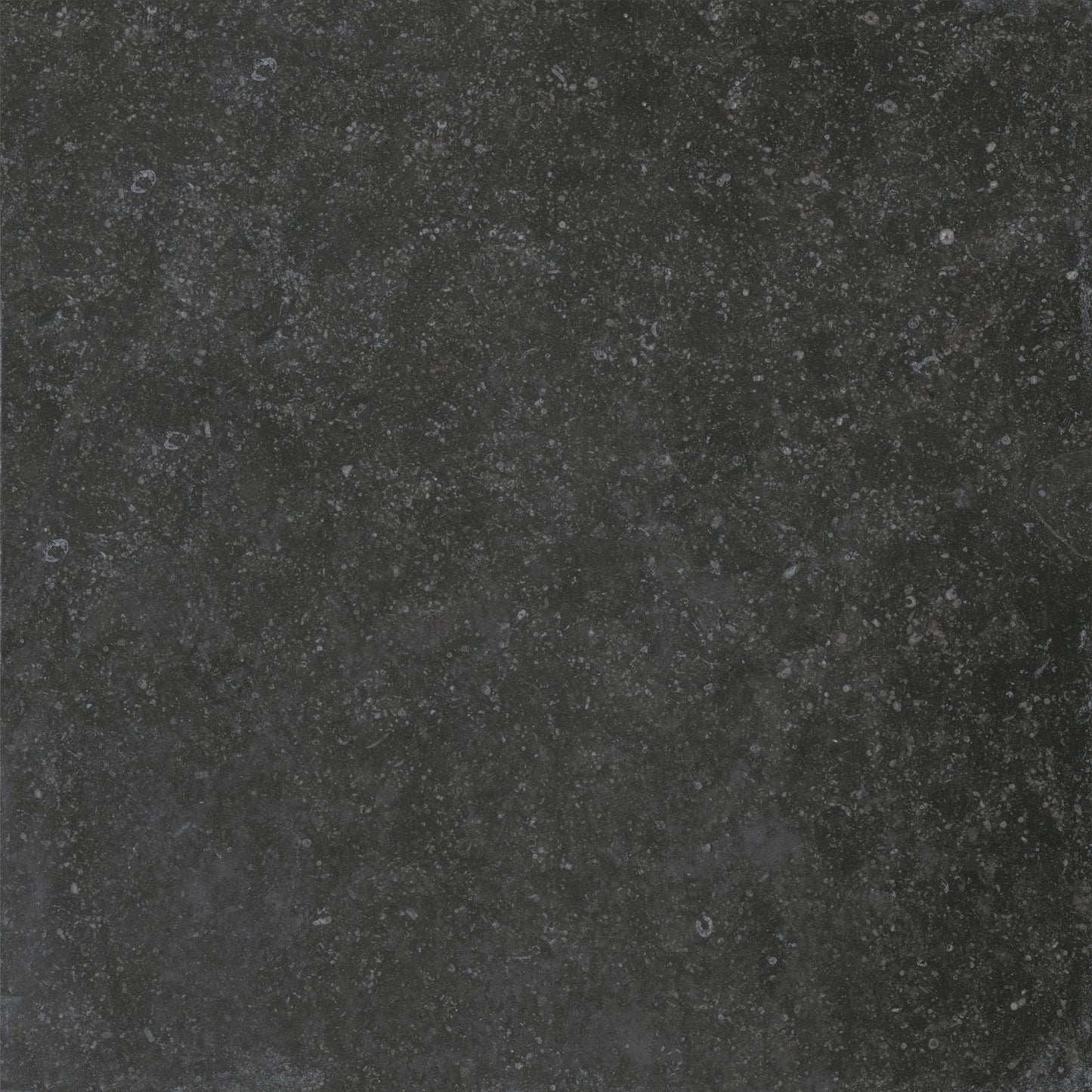 Trend Nero 24"x24" Porcelain Pavers – 2cm Matte Outdoor Deck Tiles