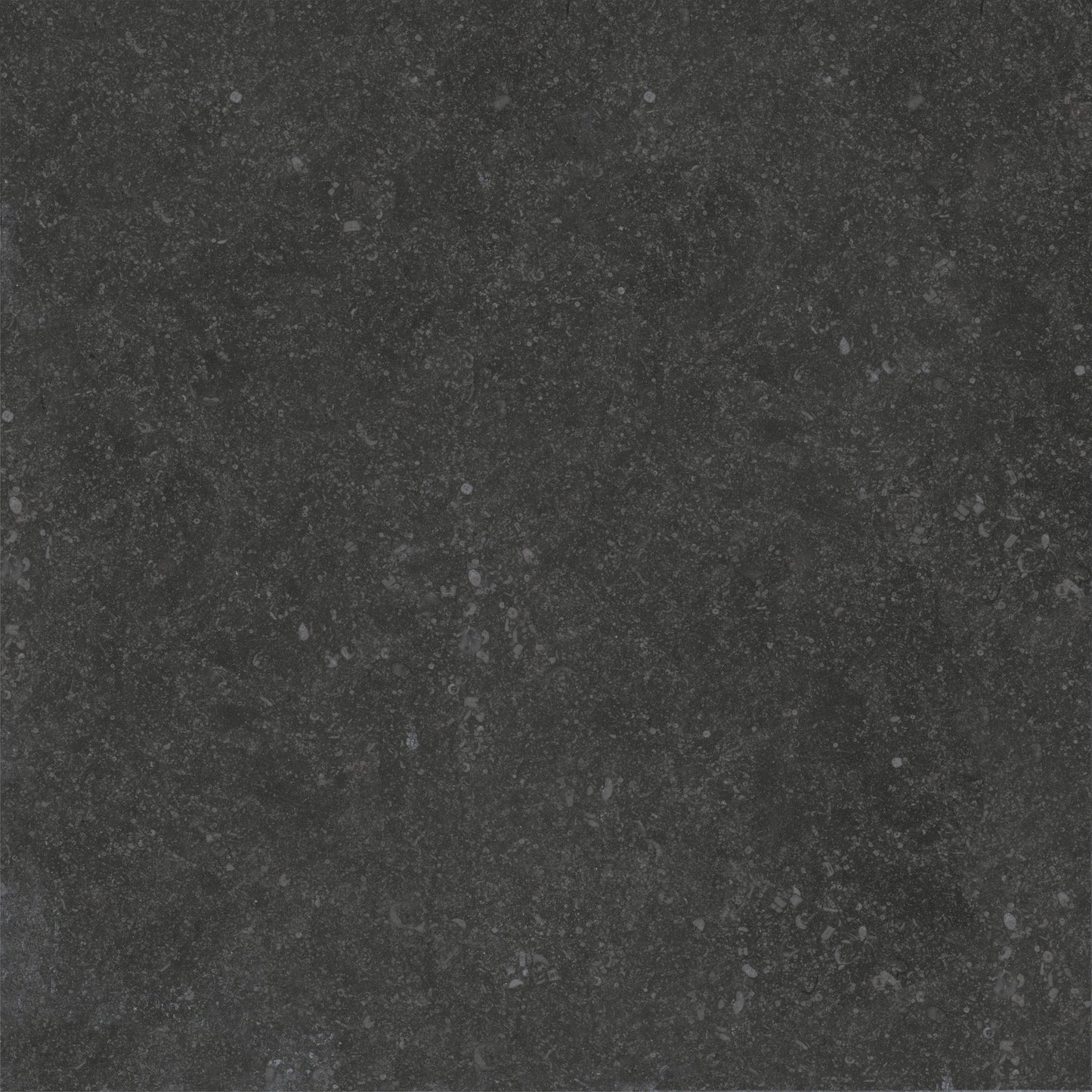 Trend Nero 24"x24" Porcelain Pavers – 2cm Matte Outdoor Deck Tiles