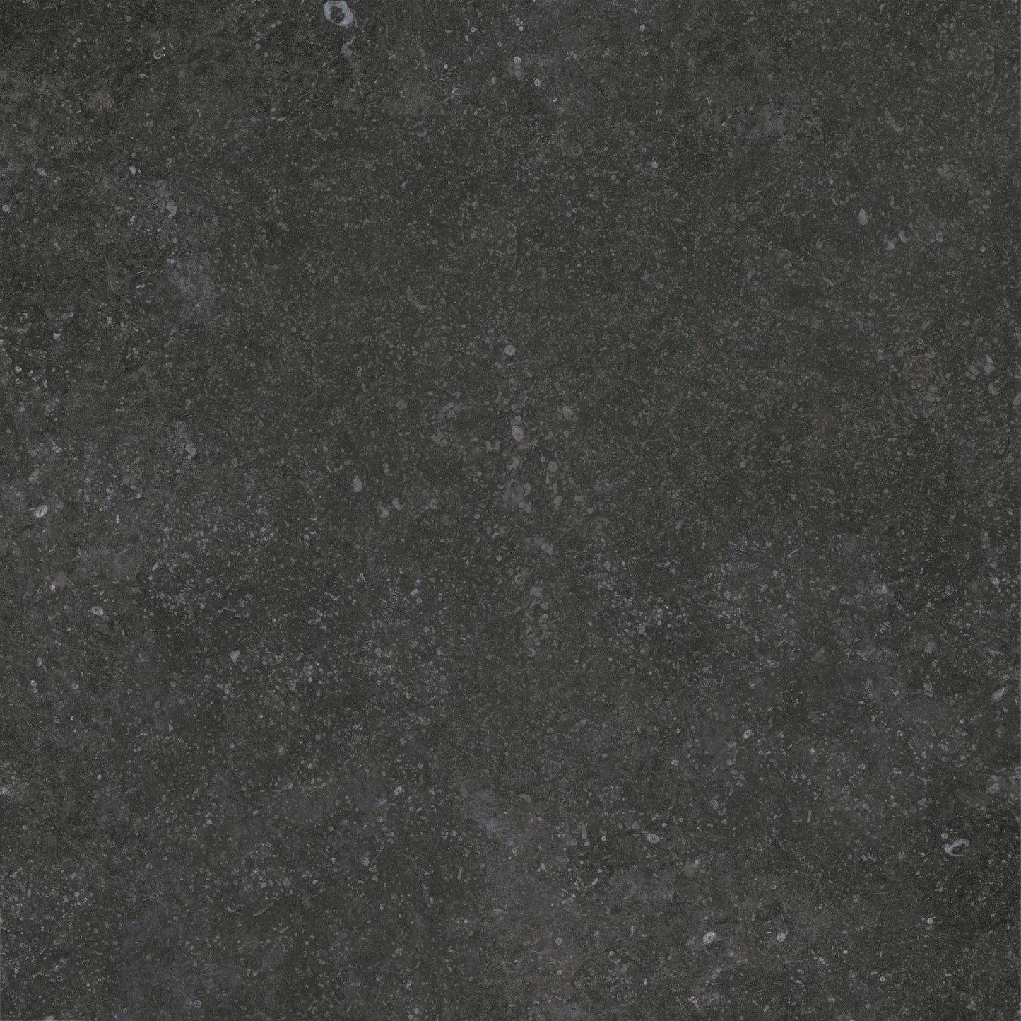 Trend Nero 24"x24" Porcelain Pavers – 2cm Matte Outdoor Deck Tiles