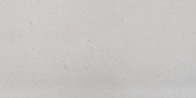 Terrazzo Bianca 12"x24" Matte Porcelain Tile