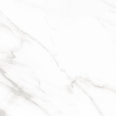Varenna Carrara 24x24 Matte