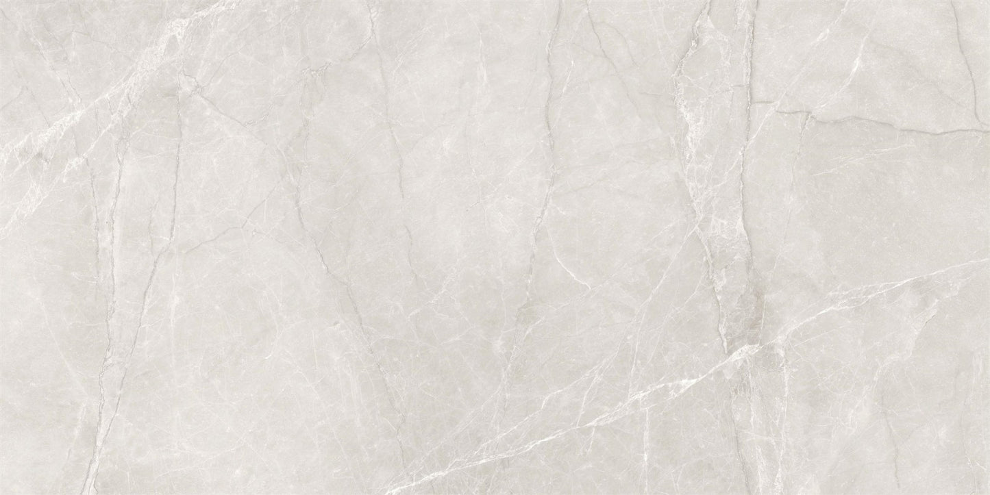 Venus Marble-Look 24"x48" Matte Porcelain Tile