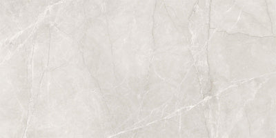 Venus Marble-Look 24"x48" Matte Porcelain Tile
