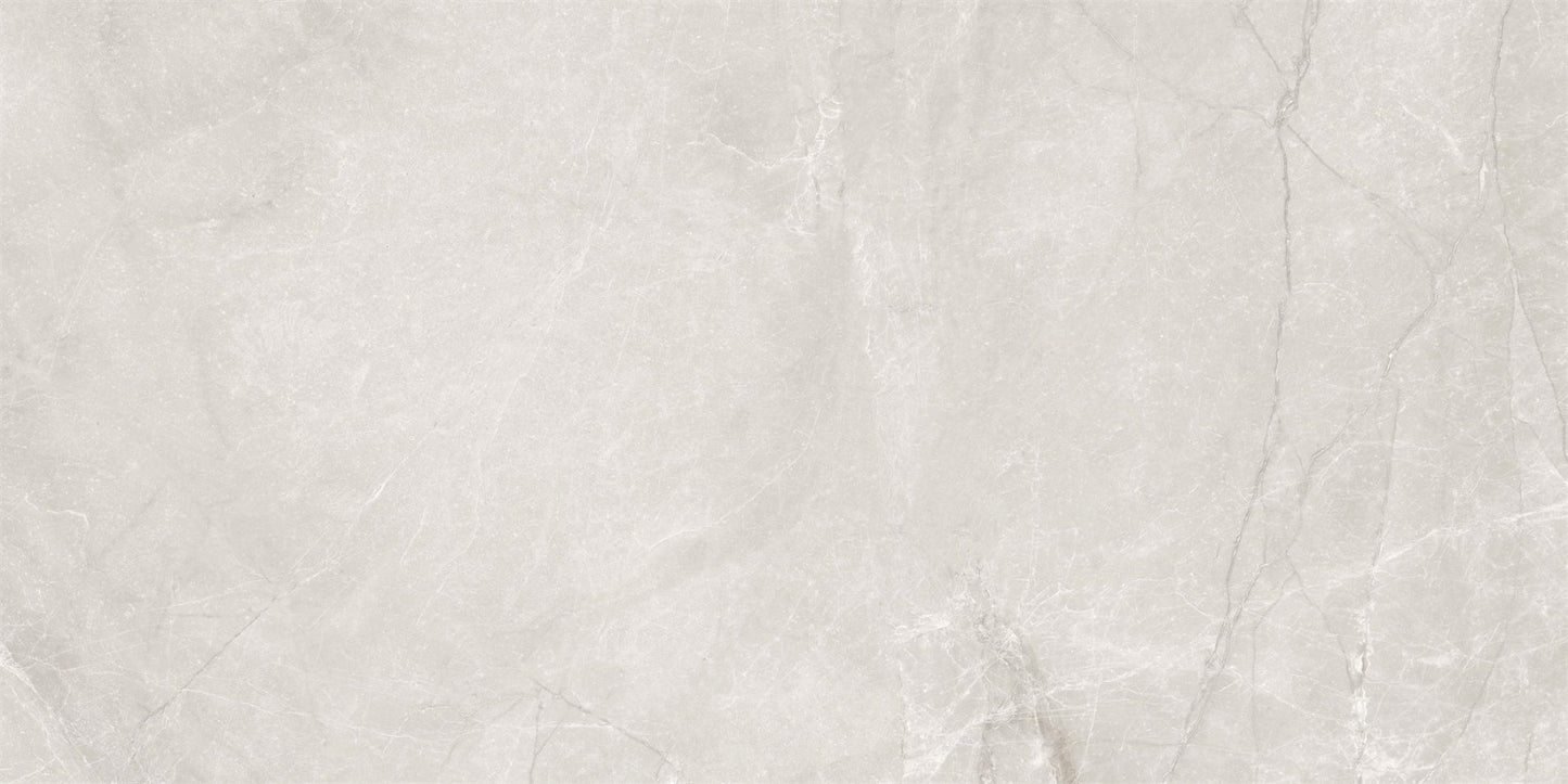 Venus Marble-Look 24"x48" Matte Porcelain Tile