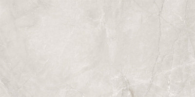 Venus Marble-Look 24"x48" Matte Porcelain Tile