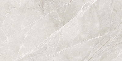 Venus Marble-Look 24"x48" Matte Porcelain Tile