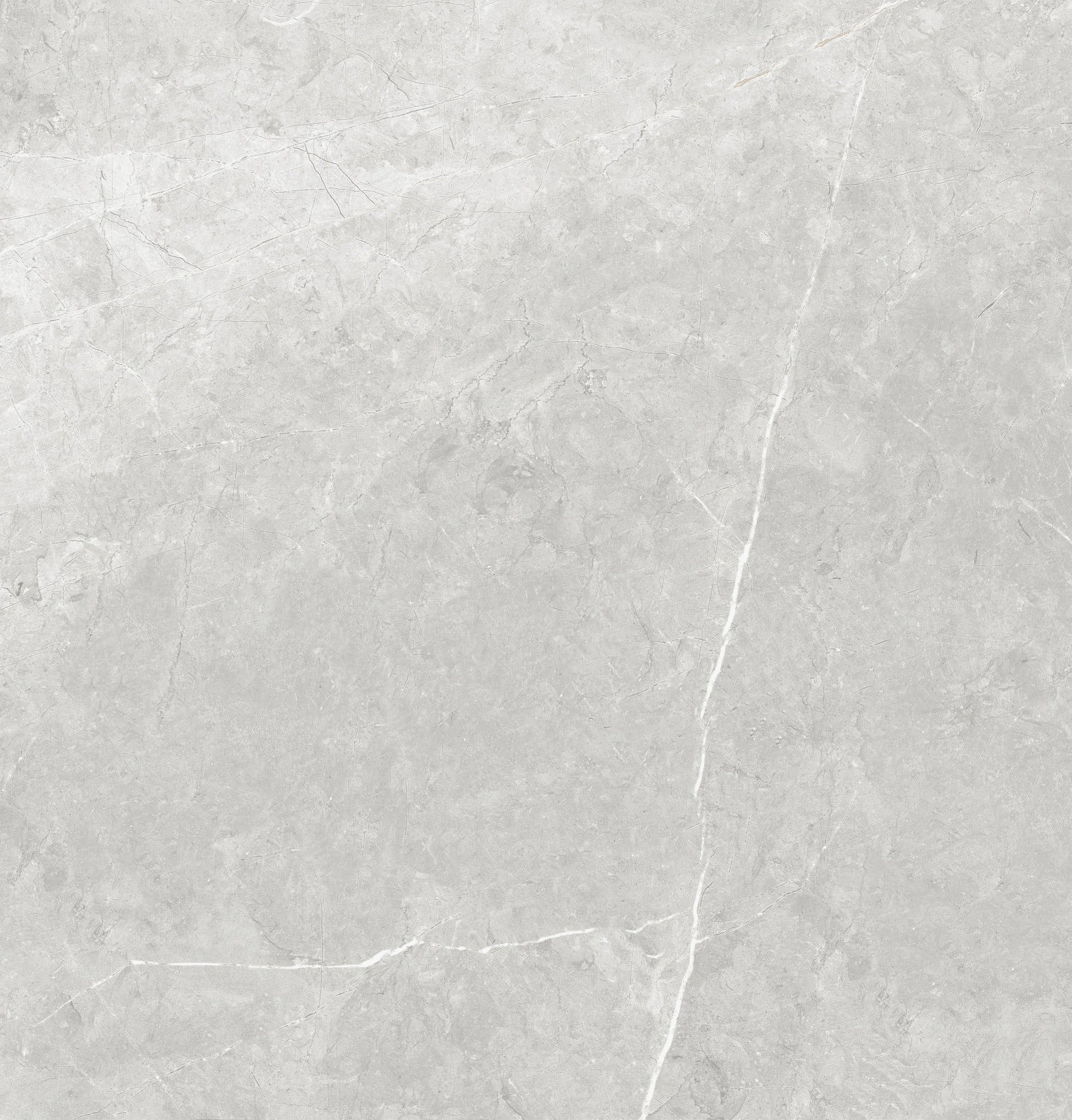 Vena White 24"x24" Matte Finish Porcelain Tile