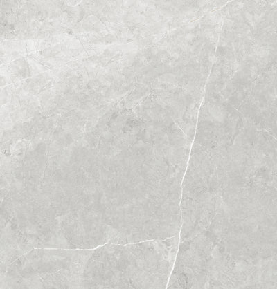 Vena White 24"x24" Polished Finish Porcelain Tile